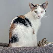 Thumbnail photo of Friday #4