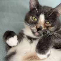 Thumbnail photo of Helen #1