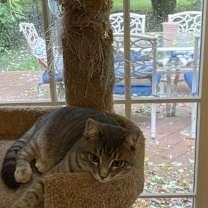 Thumbnail photo of Margo #2
