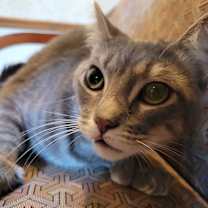 Thumbnail photo of Margo #3