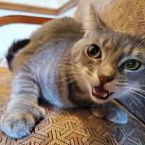 Thumbnail photo of Margo #4