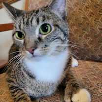 Thumbnail photo of Muriel #2