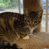 Thumbnail photo of Muriel #3