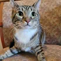 Thumbnail photo of Muriel #4