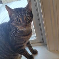 Thumbnail photo of Juneau #1