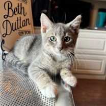 Thumbnail photo of Toby #3