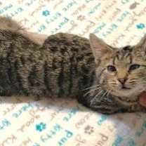 Thumbnail photo of Milton #1