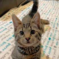 Thumbnail photo of Milton #2