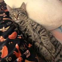 Thumbnail photo of Milton #3
