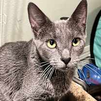 Thumbnail photo of Denny #3