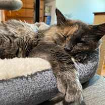 Thumbnail photo of Jewel #2