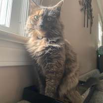 Thumbnail photo of Jewel #1