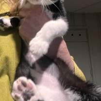 Thumbnail photo of Aaliyah #2