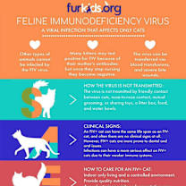 Thumbnail photo of Aaliyah #3