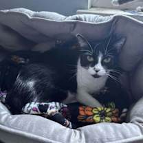 Thumbnail photo of Heidi #2