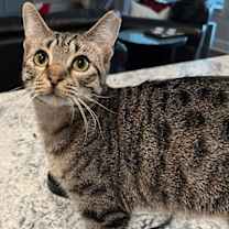 Thumbnail photo of Twix #1