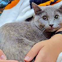 Thumbnail photo of MINI #1