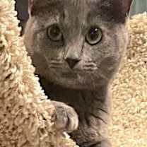 Thumbnail photo of MINI #2