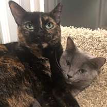 Thumbnail photo of MINI #3