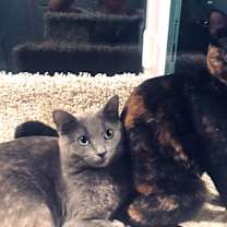 Thumbnail photo of MINI #4