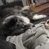 Thumbnail photo of Amelia #5