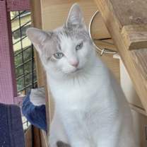 Thumbnail photo of Salt #3