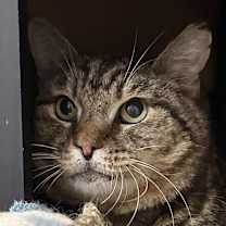 Thumbnail photo of Channing #1