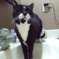 Thumbnail photo of Ralphie - sponsored! #1