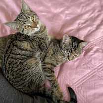 Thumbnail photo of Ethel Mertz #2