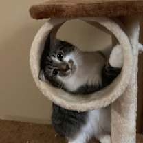 Thumbnail photo of GA-Ricky & Nelson (MCR) *Don't use this one* #4