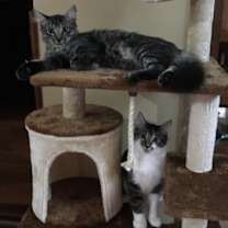 Thumbnail photo of GA-Ricky & Nelson (MCR) *Don't use this one* #1