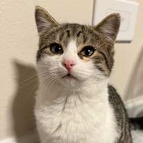 Thumbnail photo of Zuzu #1