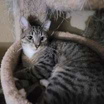 Thumbnail photo of Sheyla #1