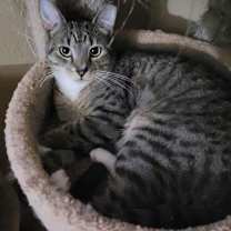 Thumbnail photo of Sheyla #2