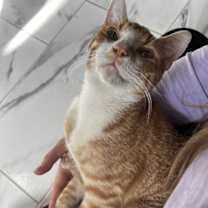 Thumbnail photo of Morris Claus #2