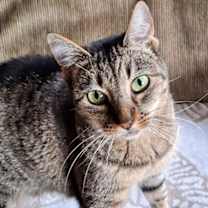 Thumbnail photo of Twiggy #1