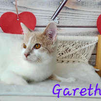 Thumbnail photo of Gareth #4