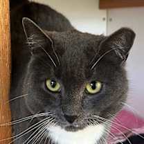 Thumbnail photo of Ranger #2
