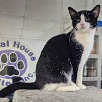 Thumbnail photo of March #4