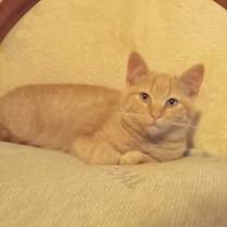 Thumbnail photo of Lucy #2