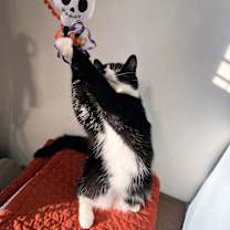 Thumbnail photo of Zoey #4