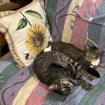 Thumbnail photo of Richard #2