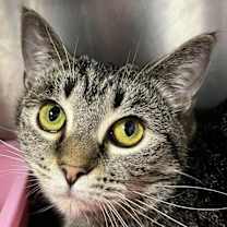 Thumbnail photo of Abigail #2