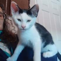 Thumbnail photo of Whitey #4