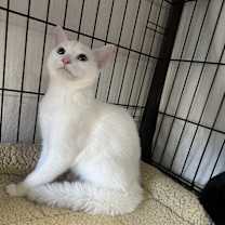 Thumbnail photo of Gabrielle #1