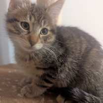 Thumbnail photo of Nellie #1