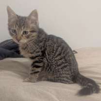Thumbnail photo of Nellie #3