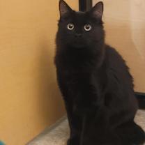 Thumbnail photo of Daphne #2