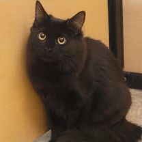 Thumbnail photo of Daphne #4