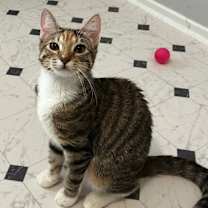 Thumbnail photo of Teagan #2